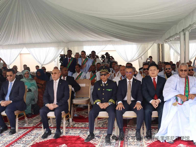 1764120313355476.jpg 796_副本.jpg