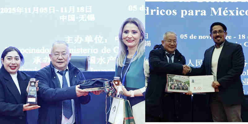 1764219193860837.jpg 02_副本.jpg