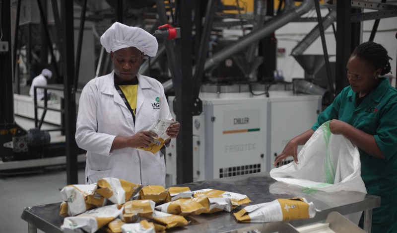 1764817022294375.jpg 953_副本.jpg