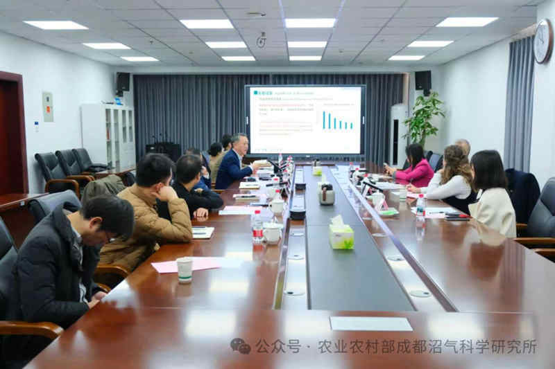 1765333577634317.jpg 243_副本.jpg