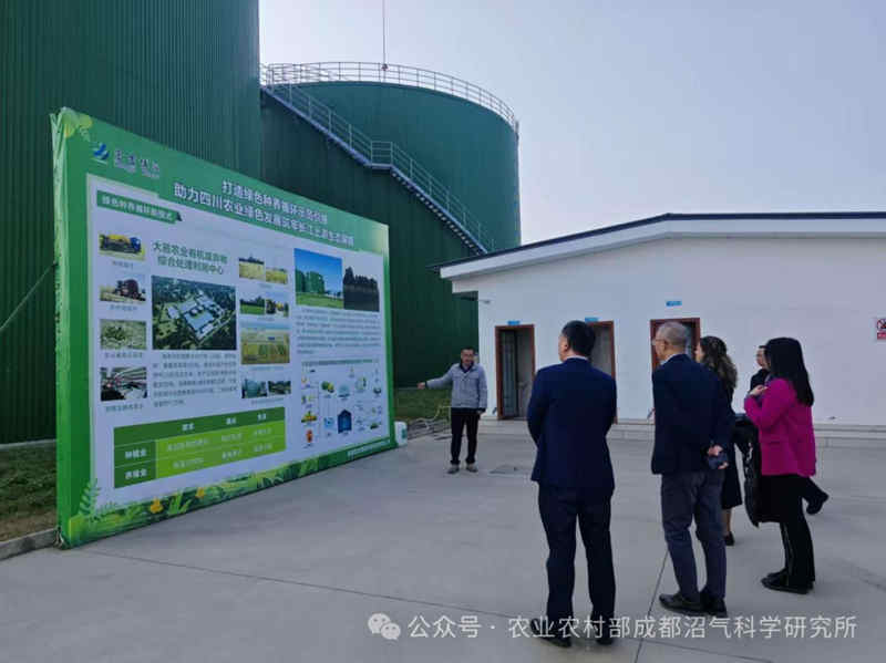 1765333596260684.jpg 869_副本.jpg