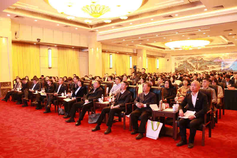 1765421787457000.jpg 338_副本.jpg