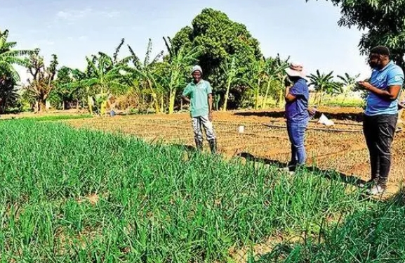 1708438274655762.png 微信截图_20240220221022.png