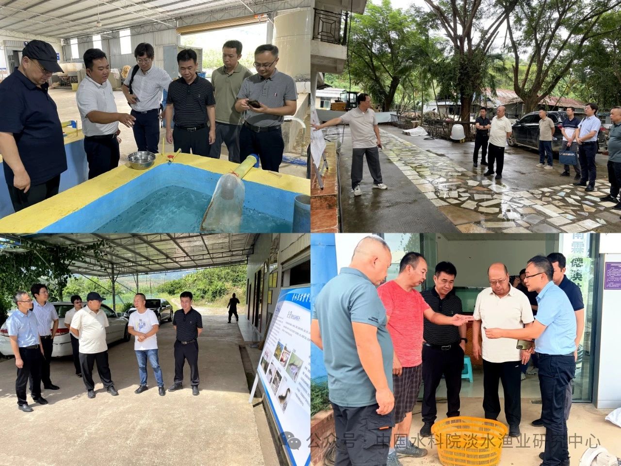 1726027469216084.jpg 1726027469216084.jpg