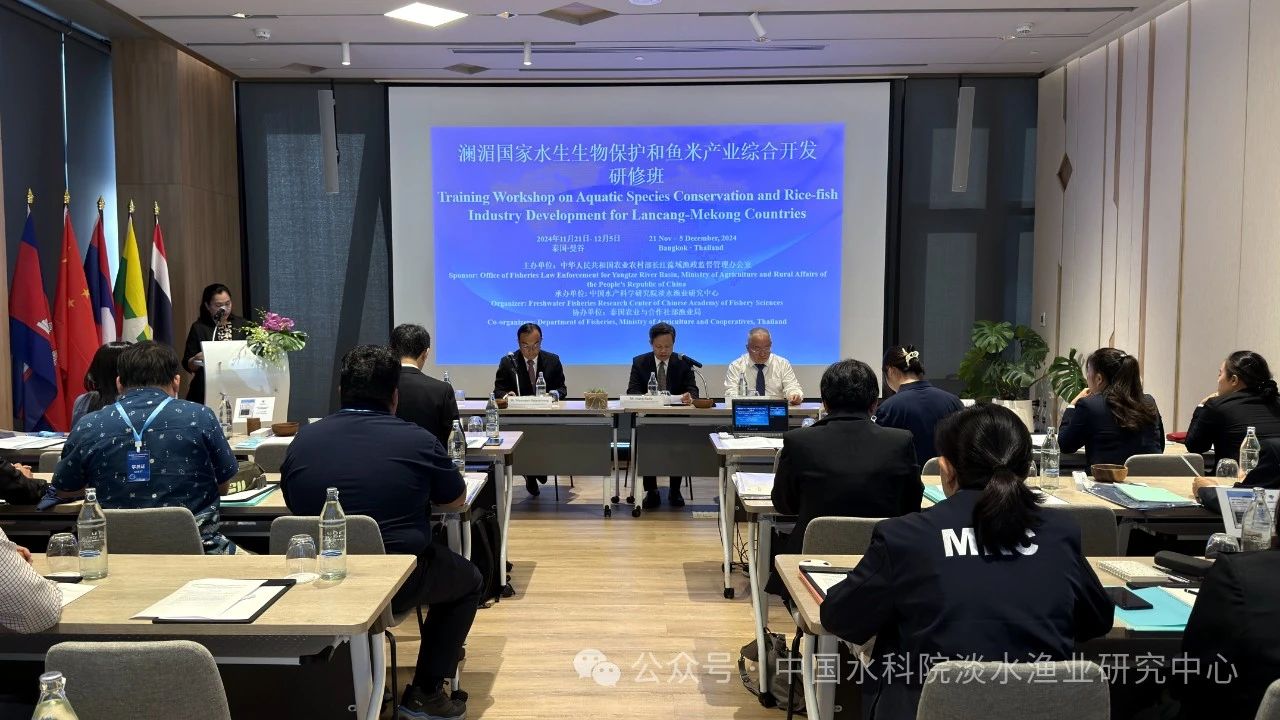 微信图片_20241127092622.jpg