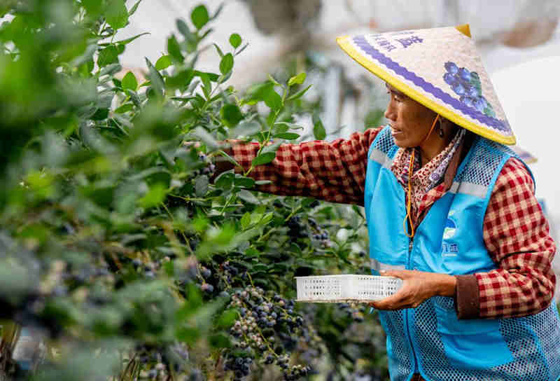 1755568592489672.jpg 90_副本.jpg