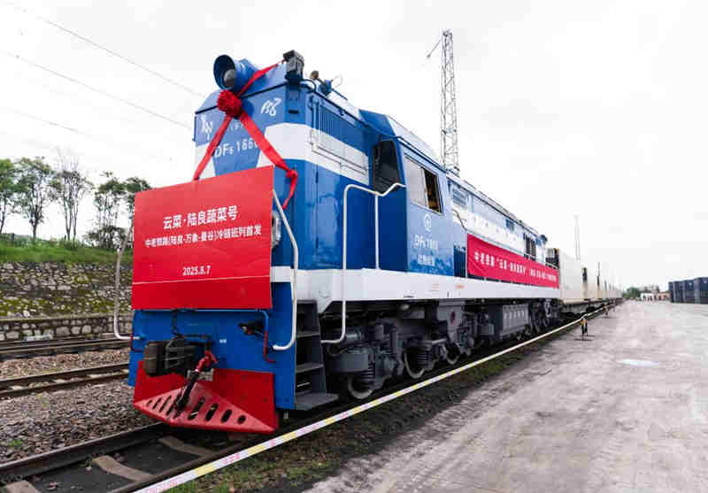 1755568605888305.jpg 133_副本.jpg