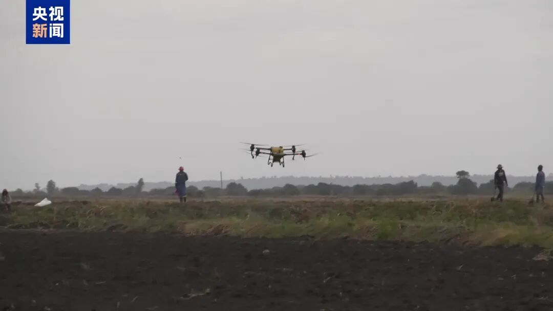 1761617873341910.jpg 652.jpg