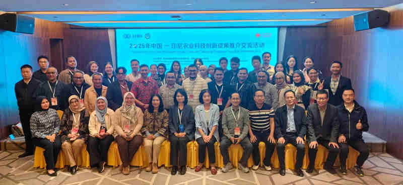 1762142282741665.jpg 015_副本.jpg