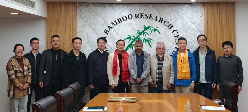 1763000329912873.jpg FA.jpg