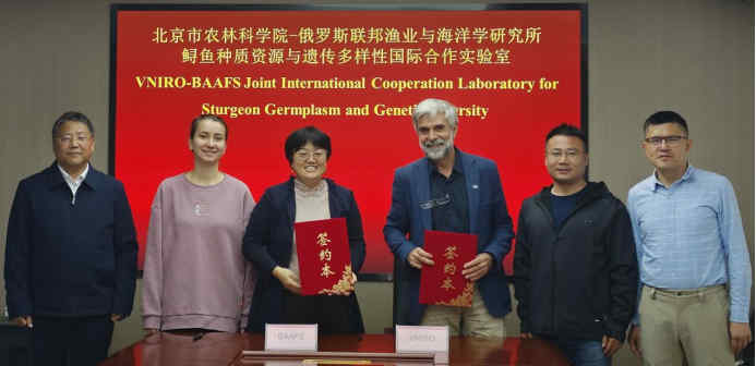 1763601653685295.jpg 987_副本.jpg