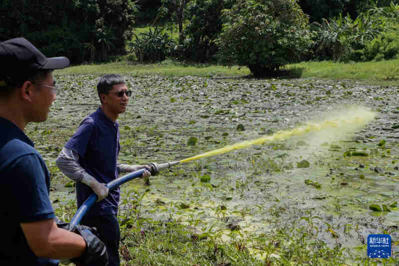 1767668788935188.jpg 926_副本.jpg