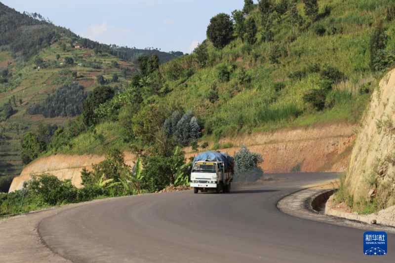 1769737260521775.jpg 202_副本.jpg