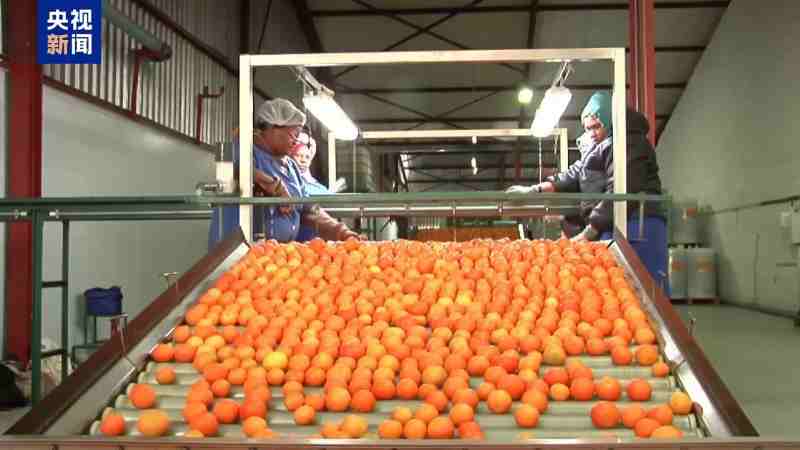 1772088753354440.jpg 010_副本.jpg