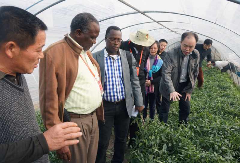 1774320194679885.jpg 881_副本.jpg