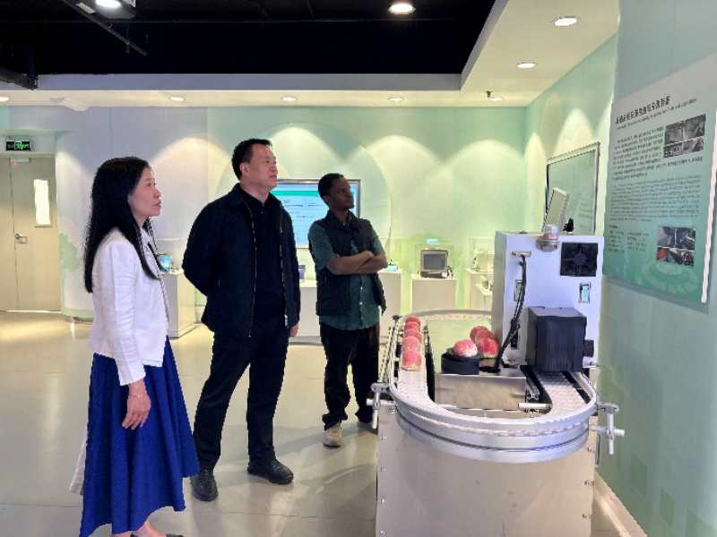 1775696753143305.jpg 666_副本.jpg