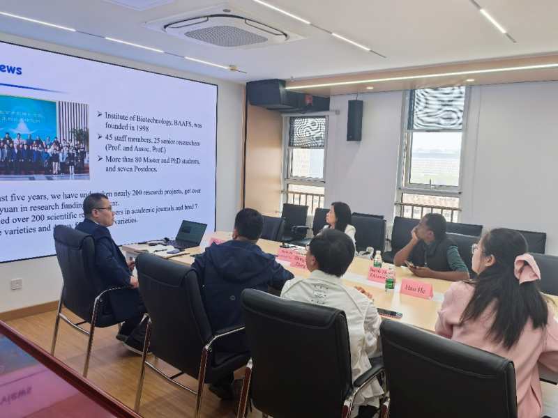 1775696795265385.jpg 668_副本.jpg