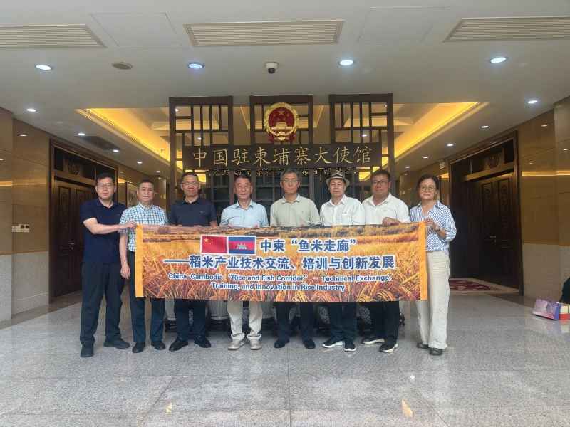 1788360545554222.jpg 287_副本_副本.jpg