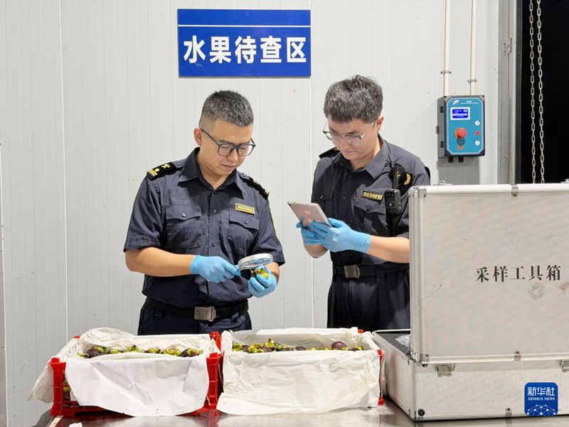 1791515247893934.jpg 277_副本.jpg