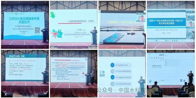 1791728328396733.jpg 776_副本.jpg