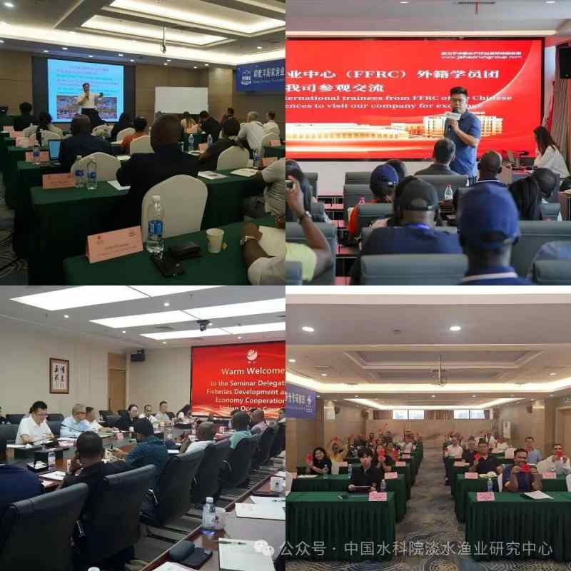 1792663527545890.jpg 645_副本.jpg